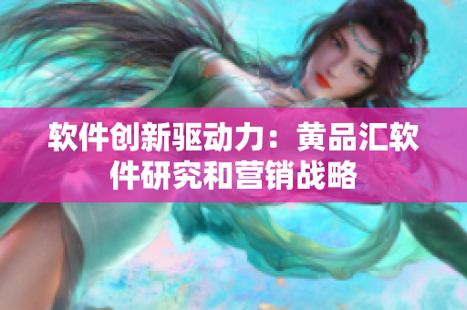 软件创新驱动力：黄品汇软件研究和营销战略