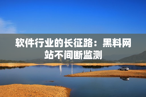 软件行业的长征路：黑料网站不间断监测