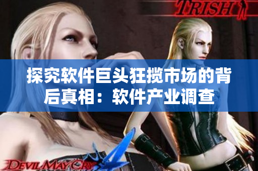 探究软件巨头狂揽市场的背后真相：软件产业调查