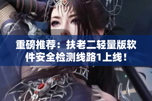 重磅推荐：扶老二轻量版软件安全检测线路1上线！