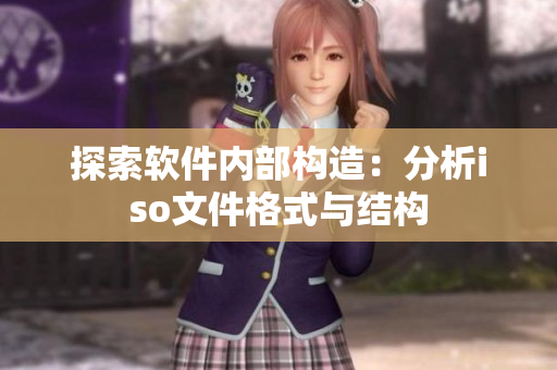 探索软件内部构造：分析iso文件格式与结构