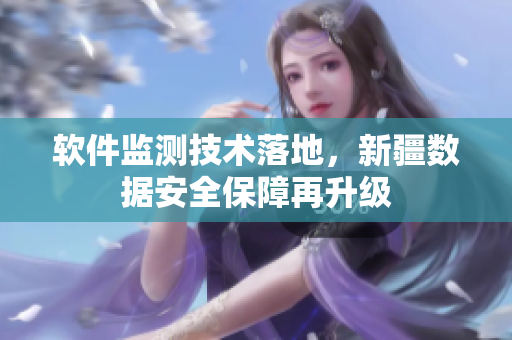 软件监测技术落地，新疆数据安全保障再升级