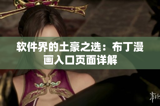 软件界的土豪之选：布丁漫画入口页面详解