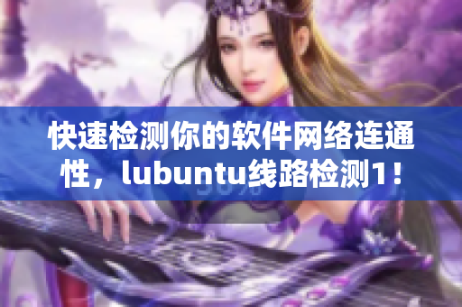 快速检测你的软件网络连通性，lubuntu线路检测1！