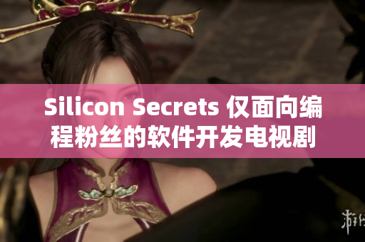 Silicon Secrets 仅面向编程粉丝的软件开发电视剧