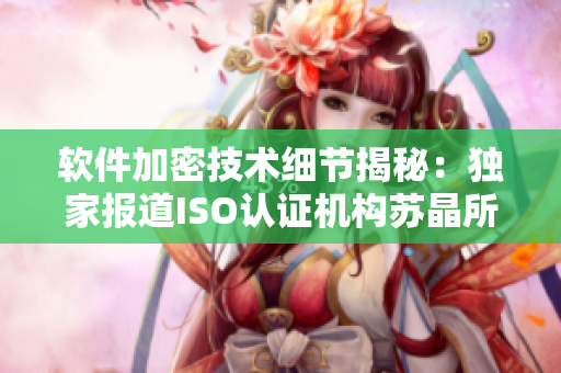 软件加密技术细节揭秘：独家报道ISO认证机构苏晶所采用的体结构！