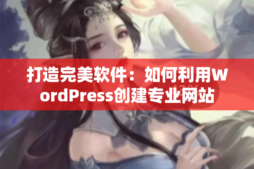 打造完美软件：如何利用WordPress创建专业网站