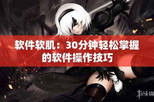 软件软肌：30分钟轻松掌握的软件操作技巧