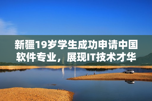 新疆19岁学生成功申请中国软件专业，展现IT技术才华
