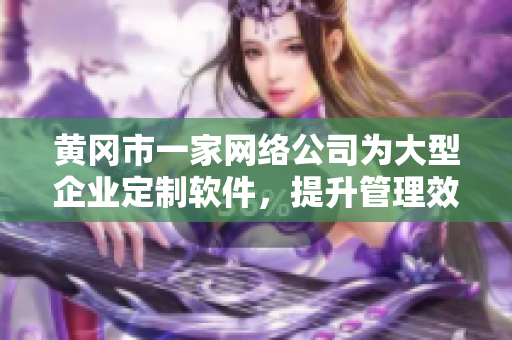 黄冈市一家网络公司为大型企业定制软件，提升管理效率