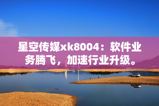 星空传媒xk8004：软件业务腾飞，加速行业升级。