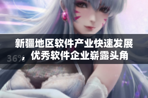 新疆地区软件产业快速发展，优秀软件企业崭露头角