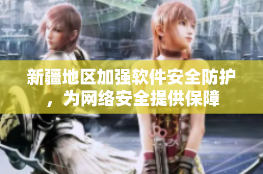 新疆地区加强软件安全防护，为网络安全提供保障