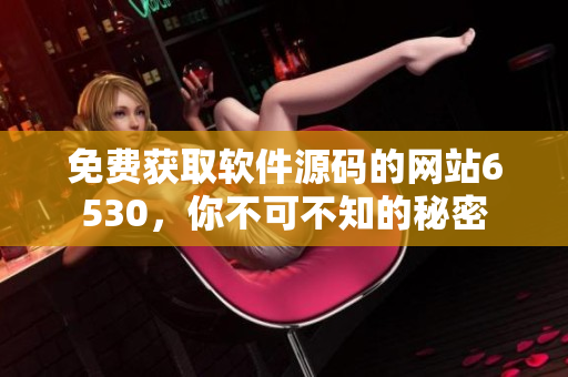 免费获取软件源码的网站6530，你不可不知的秘密