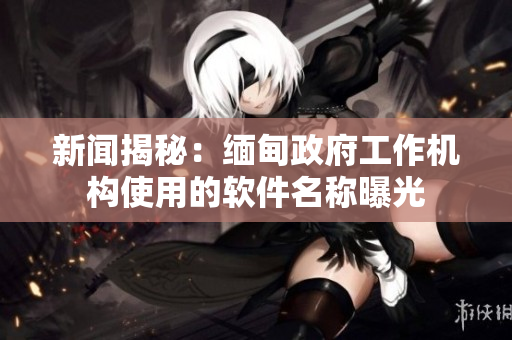 新闻揭秘：缅甸政府工作机构使用的软件名称曝光
