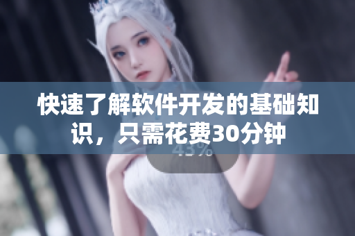 快速了解软件开发的基础知识，只需花费30分钟