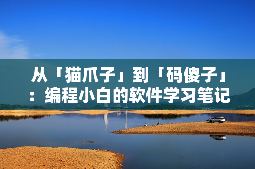 从「猫爪子」到「码傻子」：编程小白的软件学习笔记