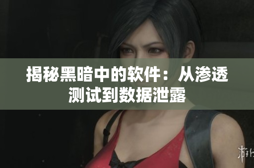 揭秘黑暗中的软件：从渗透测试到数据泄露