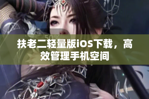 扶老二轻量版iOS下载，高效管理手机空间