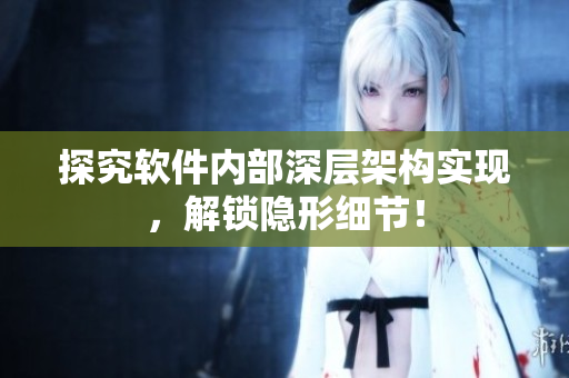 探究软件内部深层架构实现，解锁隐形细节！