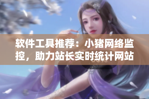 软件工具推荐：小猪网络监控，助力站长实时统计网站数据！