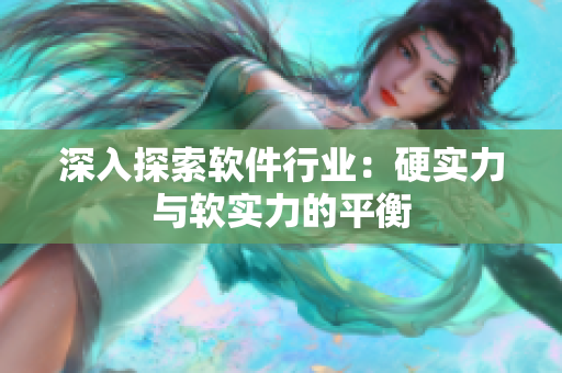 深入探索软件行业：硬实力与软实力的平衡