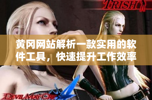 黄冈网站解析一款实用的软件工具，快速提升工作效率