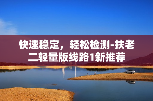 快速稳定，轻松检测-扶老二轻量版线路1新推荐