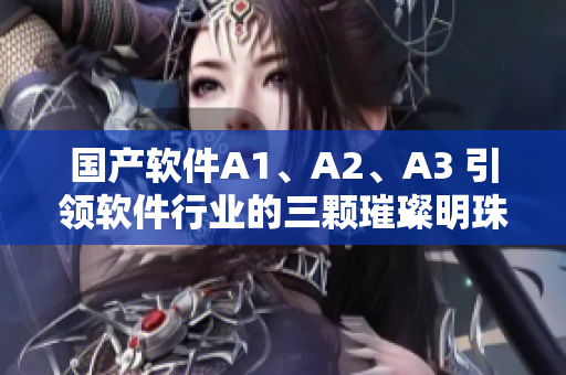 国产软件A1、A2、A3 引领软件行业的三颗璀璨明珠
