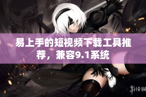 易上手的短视频下载工具推荐，兼容9.1系统