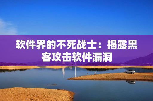 软件界的不死战士：揭露黑客攻击软件漏洞