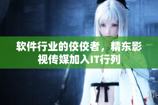 软件行业的佼佼者，精东影视传媒加入IT行列