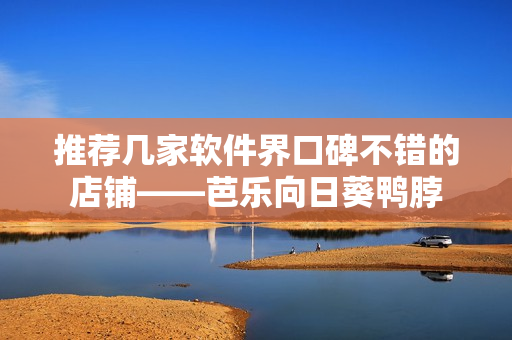推荐几家软件界口碑不错的店铺——芭乐向日葵鸭脖