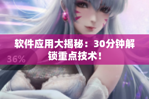 软件应用大揭秘：30分钟解锁重点技术！