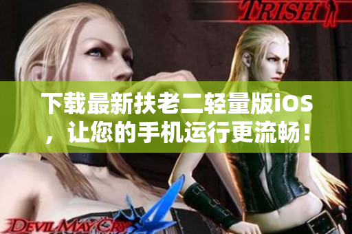 下载最新扶老二轻量版iOS，让您的手机运行更流畅！