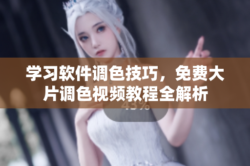 学习软件调色技巧，免费大片调色视频教程全解析