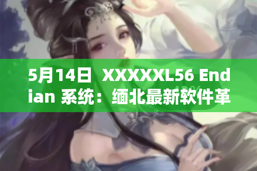 5月14日  XXXXXL56 Endian 系统：缅北最新软件革新