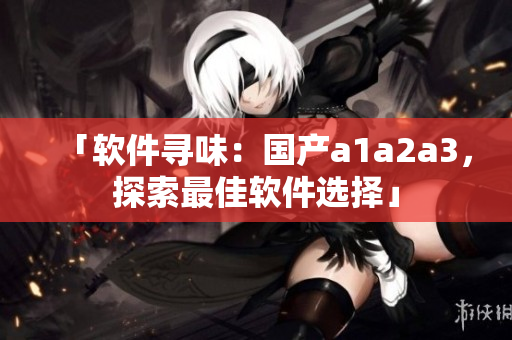 「软件寻味：国产a1a2a3，探索最佳软件选择」