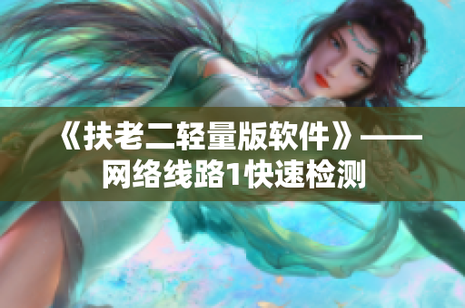 《扶老二轻量版软件》——网络线路1快速检测