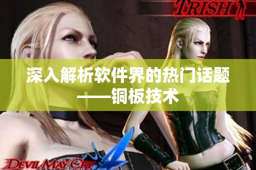 深入解析软件界的热门话题——铜板技术