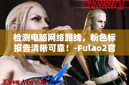检测电脑网络路线，粉色标报告清晰可靠！-Fulao2官方版