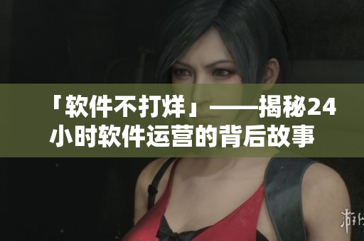 「软件不打烊」——揭秘24小时软件运营的背后故事