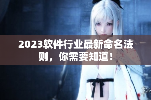 2023软件行业最新命名法则，你需要知道！