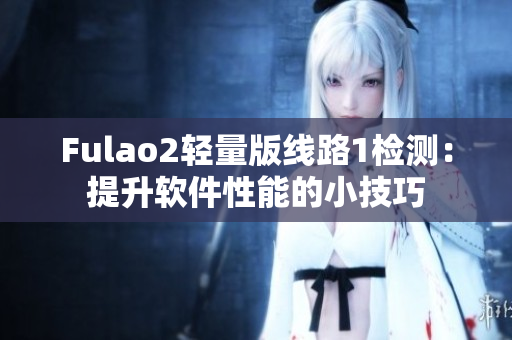 Fulao2轻量版线路1检测：提升软件性能的小技巧