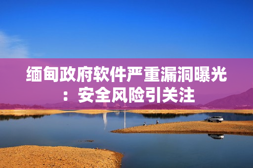 缅甸政府软件严重漏洞曝光：安全风险引关注