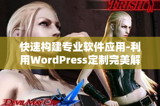 快速构建专业软件应用-利用WordPress定制完美解决方案