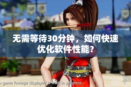 无需等待30分钟，如何快速优化软件性能？