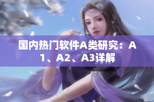 国内热门软件A类研究：A1、A2、A3详解