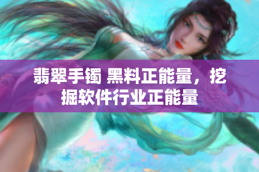 翡翠手镯 黑料正能量，挖掘软件行业正能量
