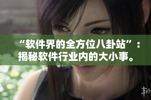 “软件界的全方位八卦站”：揭秘软件行业内的大小事。